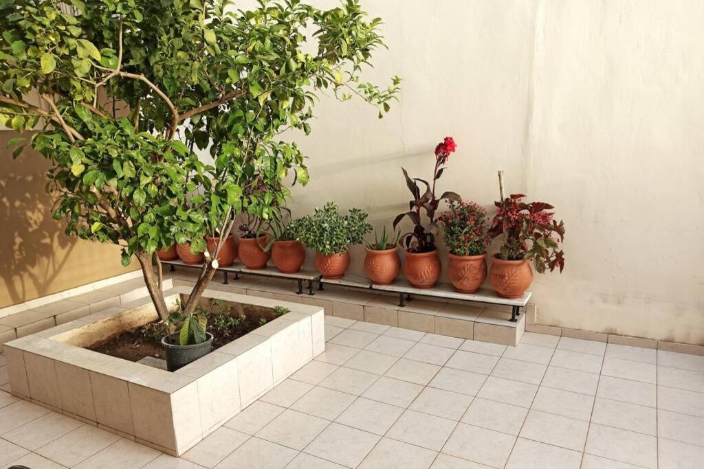 Jilda S Apartment With Private Garden! Náuplia Exterior foto